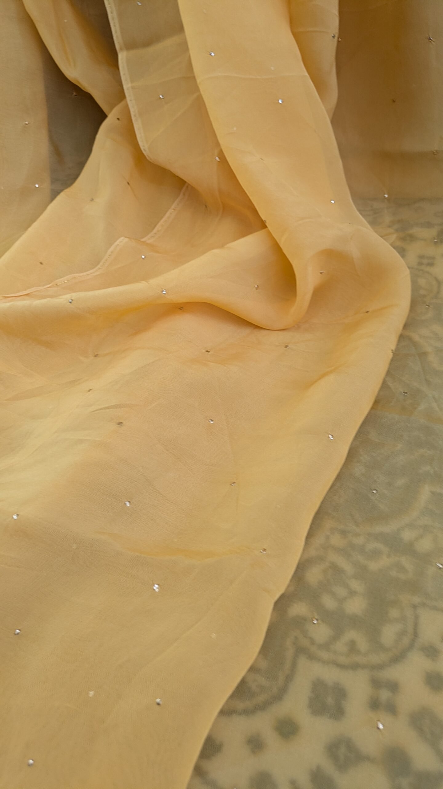 "FIZA" ORGANZA SILK CHIKANKARI SAREE - Image 9